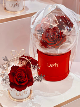 LAFIT 奢華經典永生花藝擺設 · Rose Sparkling Bubble - Deluxe Red